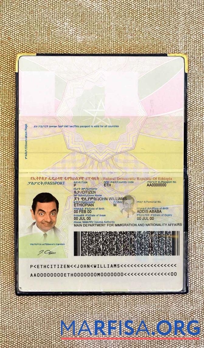 Realistic Ethiopia passport photo look download for verification